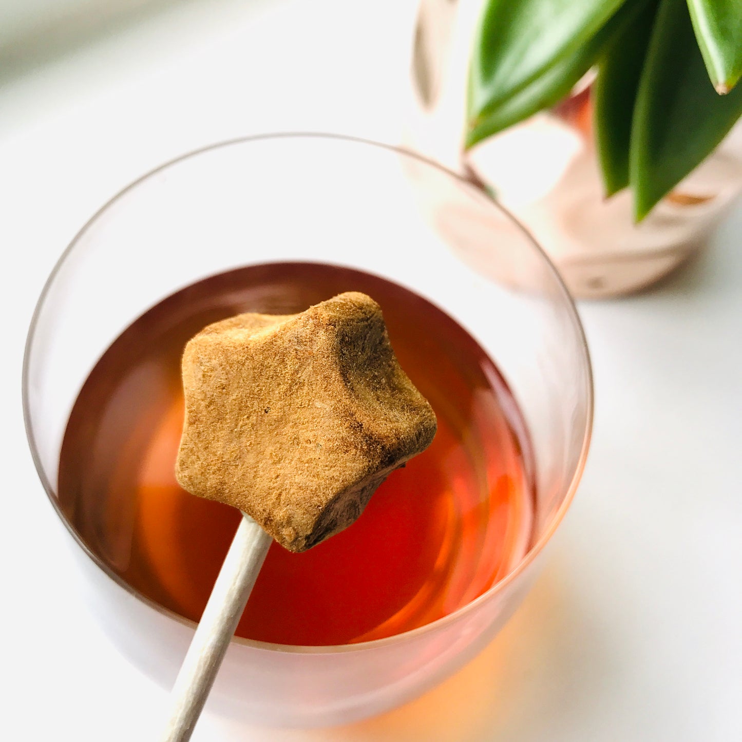 Caramel Tea-Pop Sticks / 30 sticks box / wholesale price.