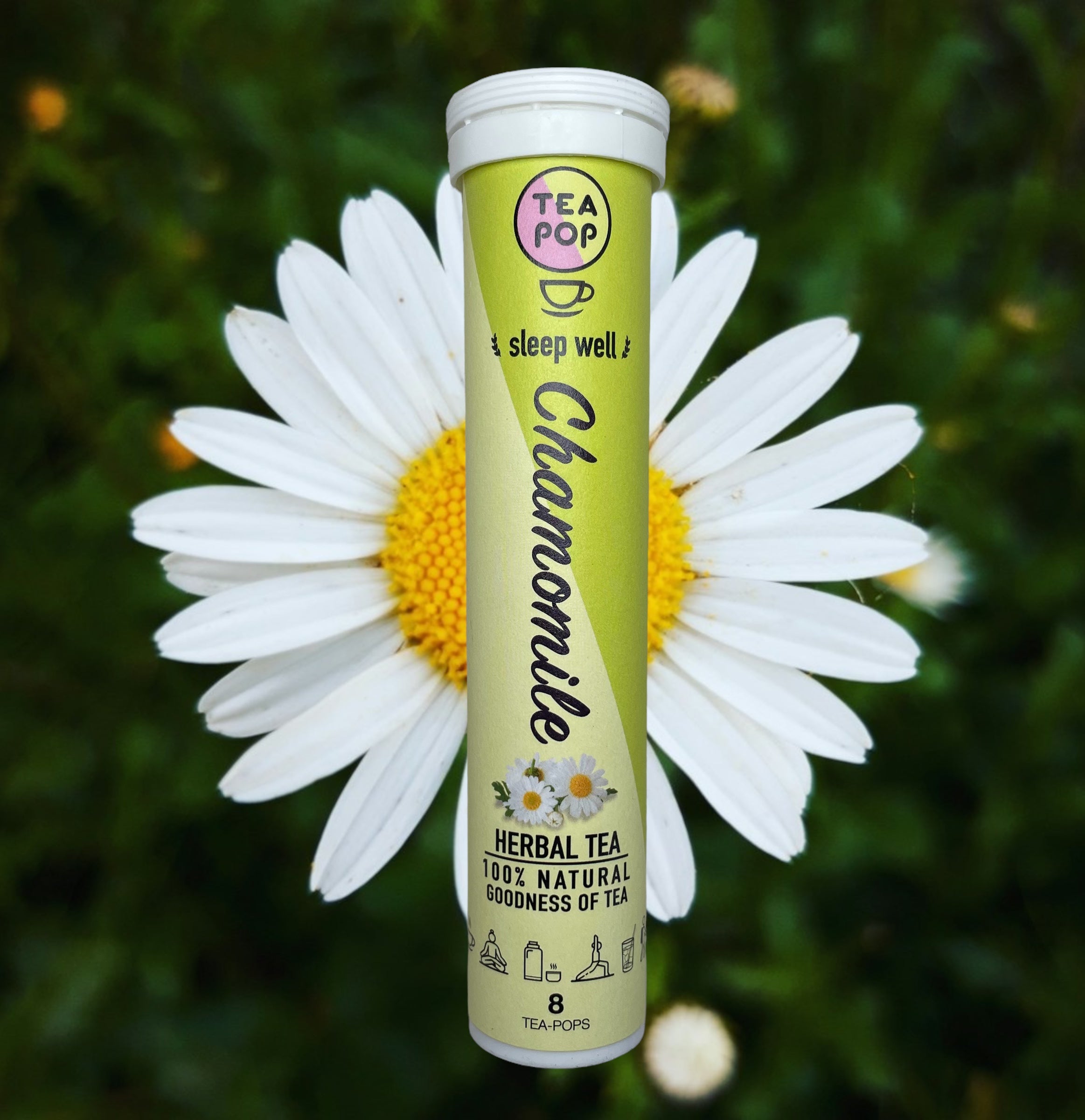 Chamomile Tea-Pops, Crystallised Quick Brew Gourmet Tea Fix. – TEA-POP